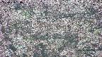 takano4-20250504050056.jpg