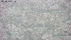 takano4-20250504051054.jpg