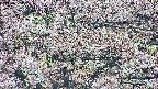 takano4-20250504054056.jpg