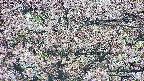 takano4-20250504055055.jpg