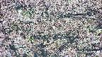 takano4-20250504060057.jpg
