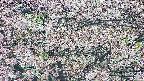 takano4-20250504063057.jpg