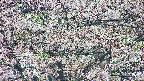 takano4-20250504064055.jpg