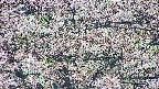 takano4-20250504065057.jpg