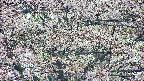 takano4-20250504070056.jpg