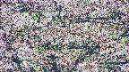 takano4-20250504071055.jpg