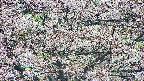 takano4-20250504072057.jpg