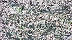 takano4-20250504073056.jpg