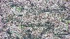 takano4-20250504074055.jpg