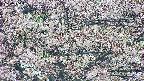 takano4-20250504075057.jpg