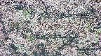 takano4-20250504080058.jpg