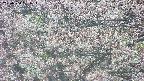 takano4-20250504081055.jpg