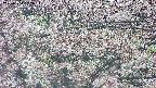 takano4-20250504082055.jpg