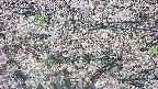 takano4-20250504083056.jpg