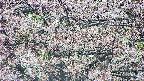 takano4-20250504084057.jpg