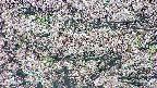 takano4-20250504085056.jpg