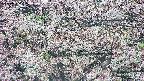 takano4-20250504090057.jpg