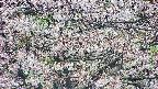 takano4-20250504091057.jpg