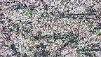 takano4-20250504092057.jpg