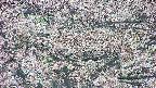 takano4-20250504093057.jpg