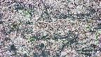 takano4-20250504095057.jpg