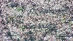 takano4-20250504100057.jpg