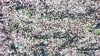 takano4-20250504102057.jpg