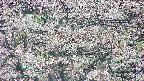 takano4-20250504103058.jpg