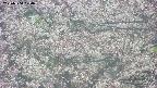 takano4-20250504104056.jpg
