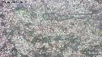takano4-20250504105055.jpg