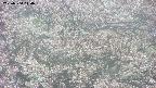 takano4-20250504110056.jpg