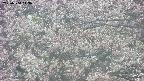 takano4-20250504113057.jpg