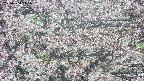 takano4-20250504115054.jpg