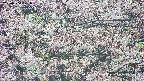 takano4-20250504121056.jpg