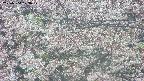 takano4-20250504123058.jpg
