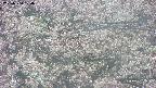 takano4-20250504124056.jpg