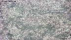 takano4-20250504125057.jpg