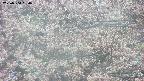 takano4-20250504130056.jpg