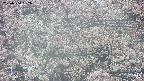 takano4-20250504132057.jpg