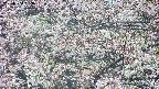 takano4-20250504133057.jpg