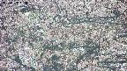 takano4-20250504134057.jpg