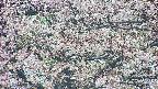 takano4-20250504135058.jpg