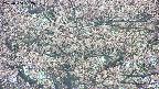 takano4-20250504152058.jpg