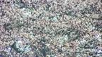 takano4-20250504175056.jpg
