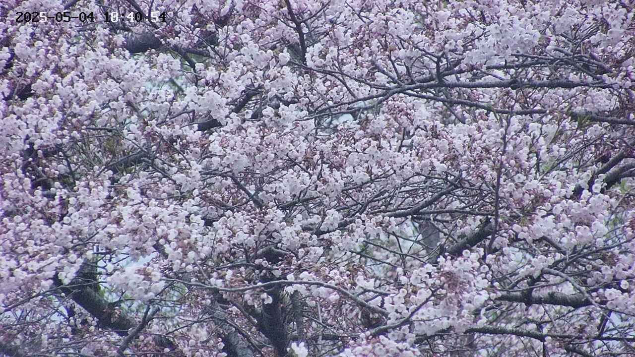 takano4-20250504184055.jpg