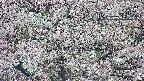 takano4-20250505051056.jpg