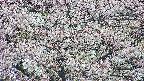 takano4-20250505052057.jpg