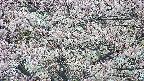 takano4-20250505055055.jpg