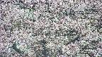 takano4-20250505062057.jpg