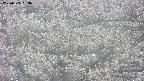 takano4-20250505063056.jpg